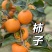 《实力》脆甜柿子产地供货，欢迎咨询来产地对接，车接车送