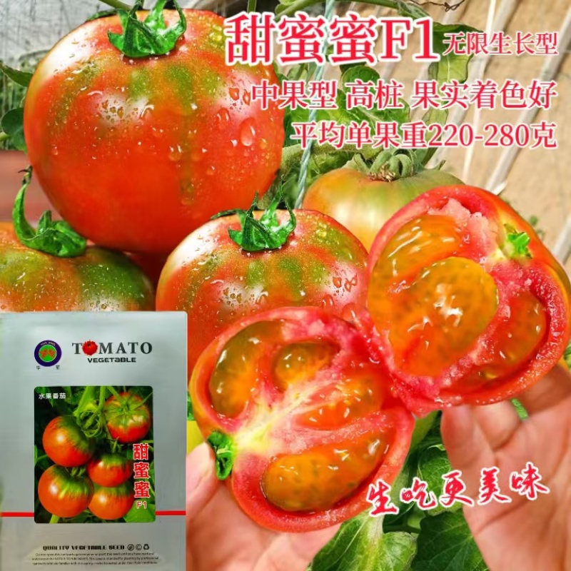 华星甜蜜蜜爽口甜草莓番茄种子水果番茄种东北铁皮柿子水果西