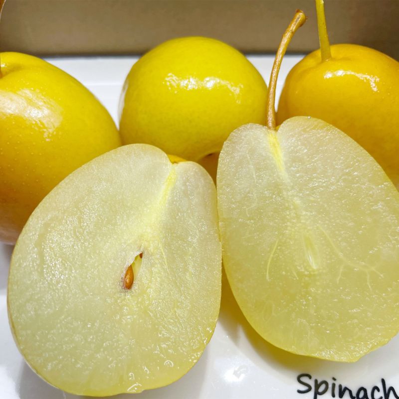 潮汕特色水泡梨甜梨鸟梨腌梨新鲜水果加甘草腌制甜脆沙梨酸甜