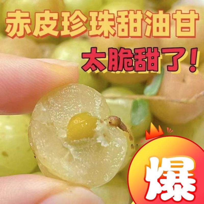 正宗潮汕柿饼甜油甘新鲜油甘果余甘牛甘鲜果子孕妇水果滇橄榄