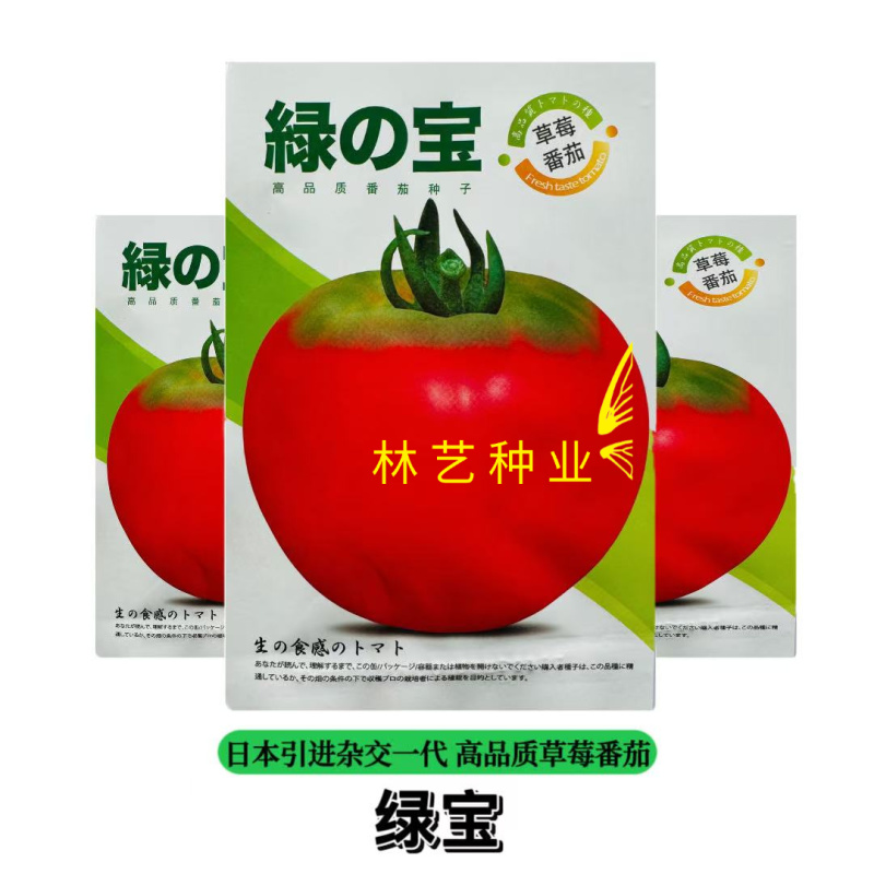 绿宝草莓番茄种子早熟无限生长深粉红高圆型绿肩西红柿种籽春