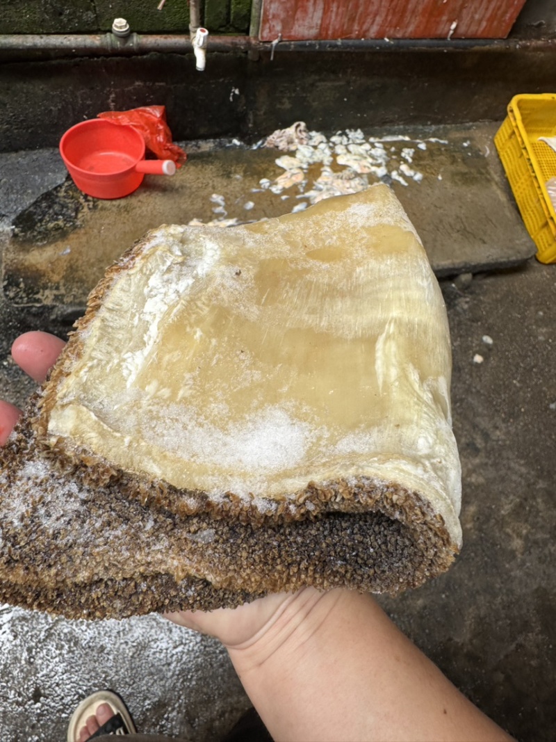 飞水新鲜牛肚片