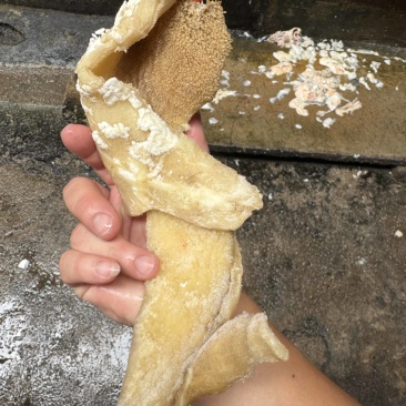 飞水新鲜牛肚片