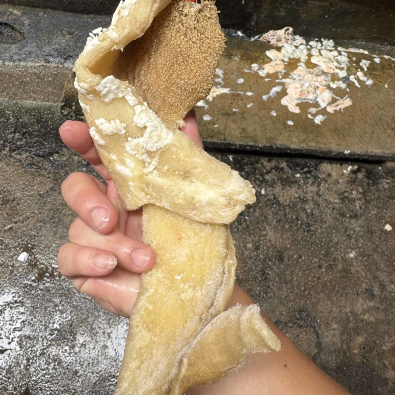 飞水新鲜牛肚片