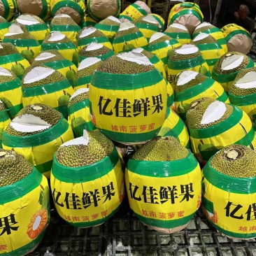 批发越南红肉菠萝蜜口岸分小车产地加工清关物流一条龙