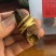 新会三宝扎陈皮咸橄榄特产三宝茶年货茶三宝揽