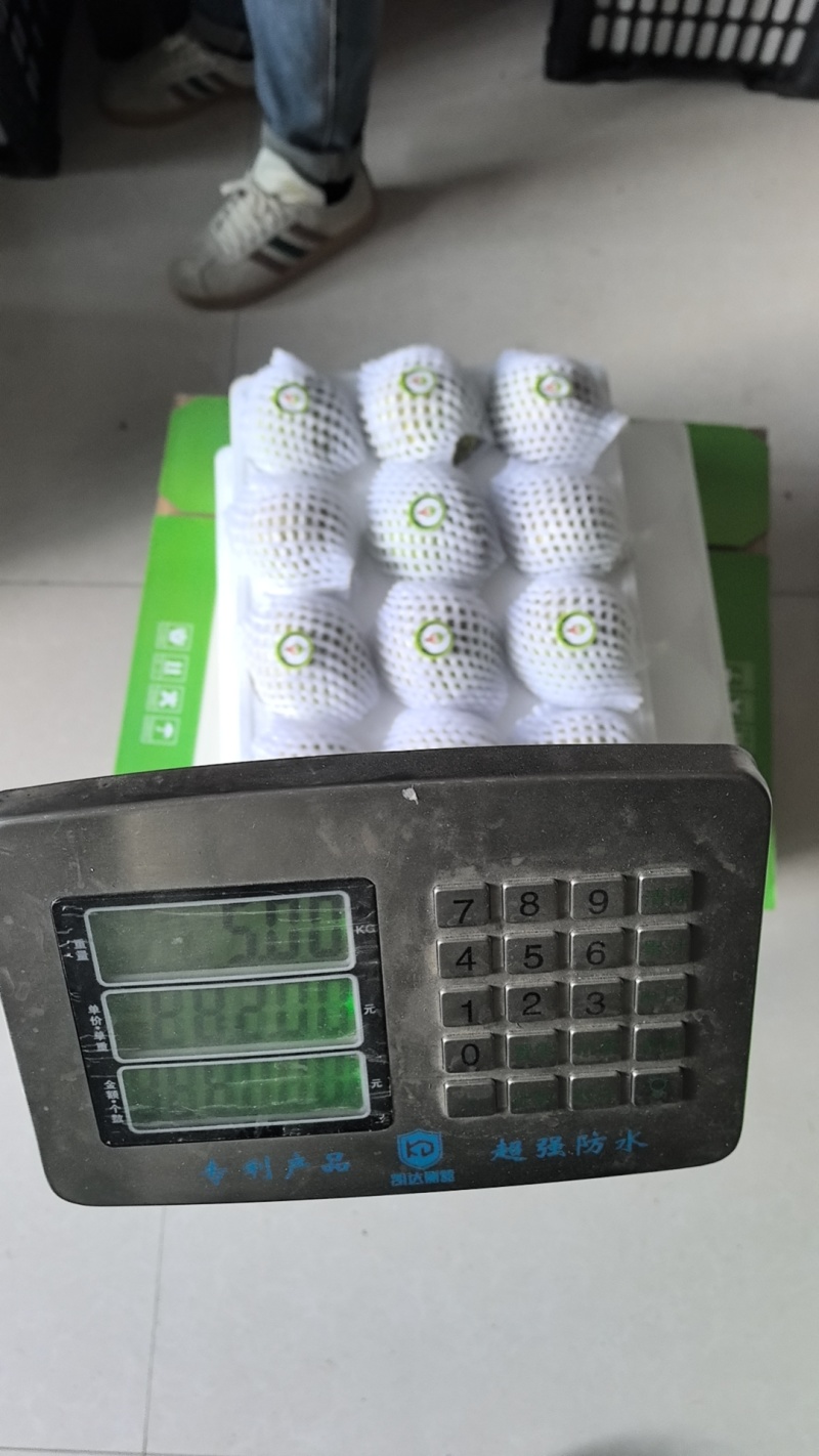 正宗隰县玉露香梨，假一赔百