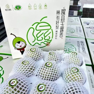 正宗隰县玉露香梨，假一赔百