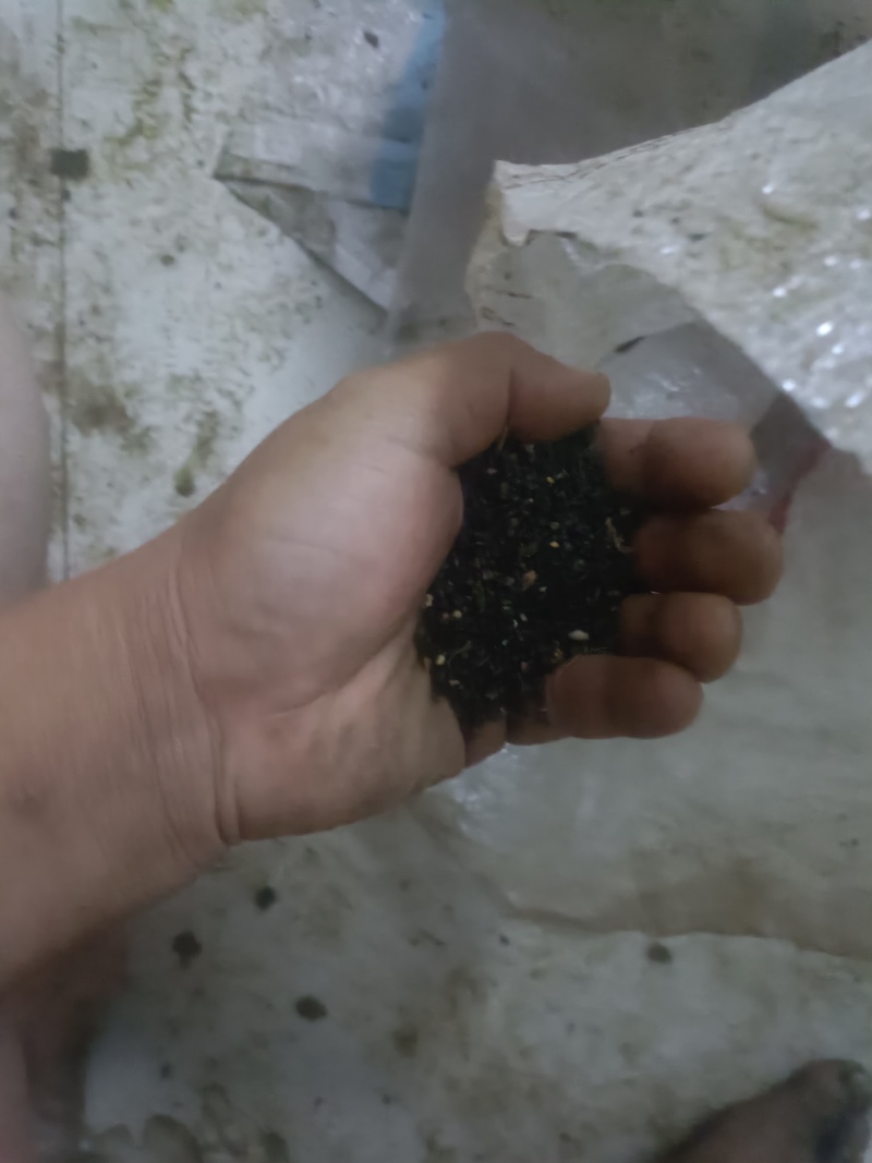 黑藜麦米毛粮