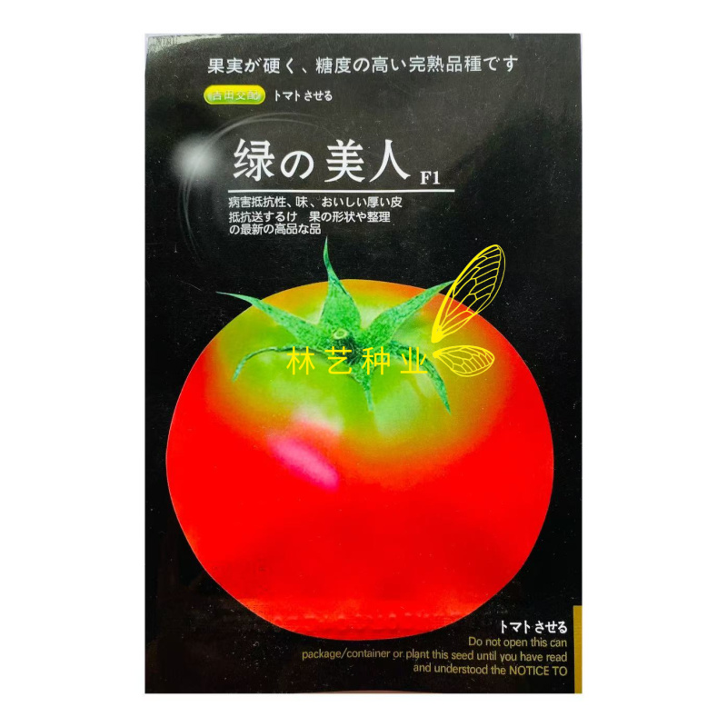 绿美人番茄种子无限生长型早熟耐寒粉红高圆大果绿肩抗春秋播