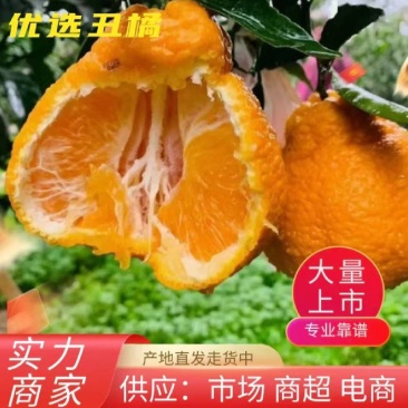 【优质货源】丑橘不知火丑八怪电商商超社团市场