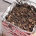 大量批发福鼎白茶。