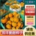 阳丰脆柿子《电商平台/一件代发/市场批发》新鲜采摘发货