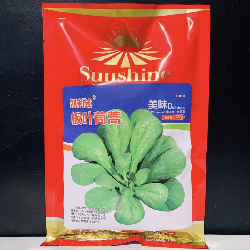 丹麦引进板叶茼蒿种子四季耐热耐寒蔬菜大叶茼蒿菜种籽蓬蒿菜
