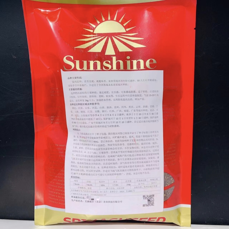 丹麦引进板叶茼蒿种子四季耐热耐寒蔬菜大叶茼蒿菜种籽蓬蒿菜
