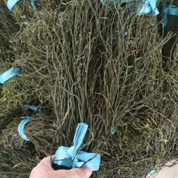烘干鲜豆角