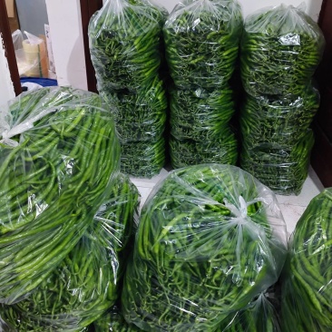 鲜青辣椒（二荆条