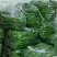 鲜青辣椒（二荆条