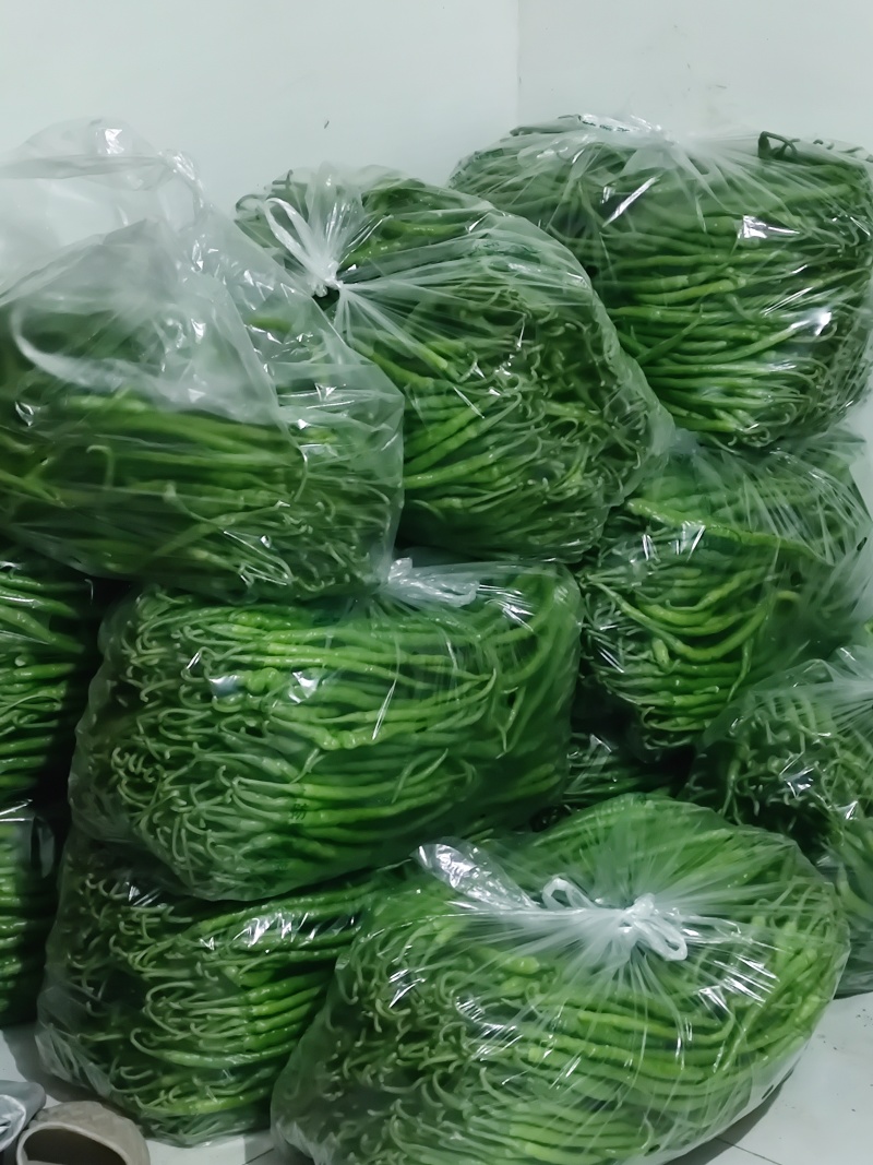 鲜青辣椒（二荆条