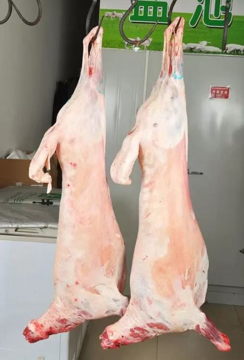 新鲜羊腿肉