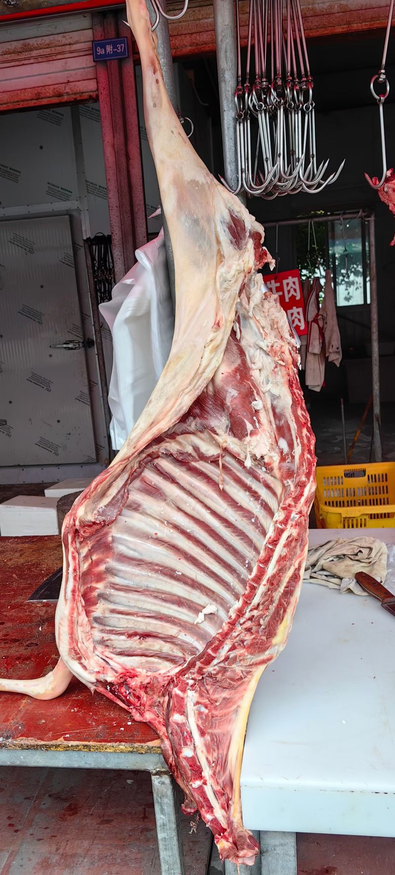 新鲜羊排肉