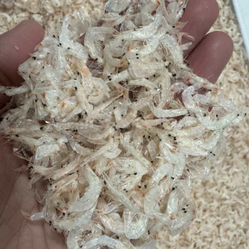 新货淡干无盐虾皮，一点也不咸