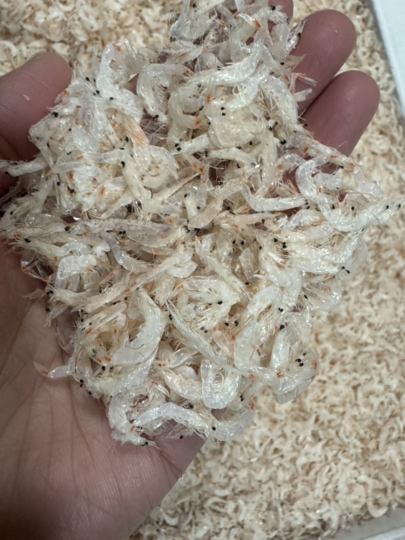 新货淡干无盐虾皮，一点也不咸