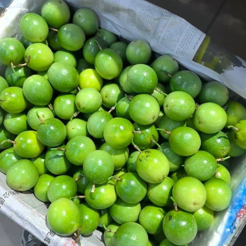 钦蜜九号百香果