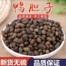 鸦胆子产地广东振兴药材批发量大从优一站式采购