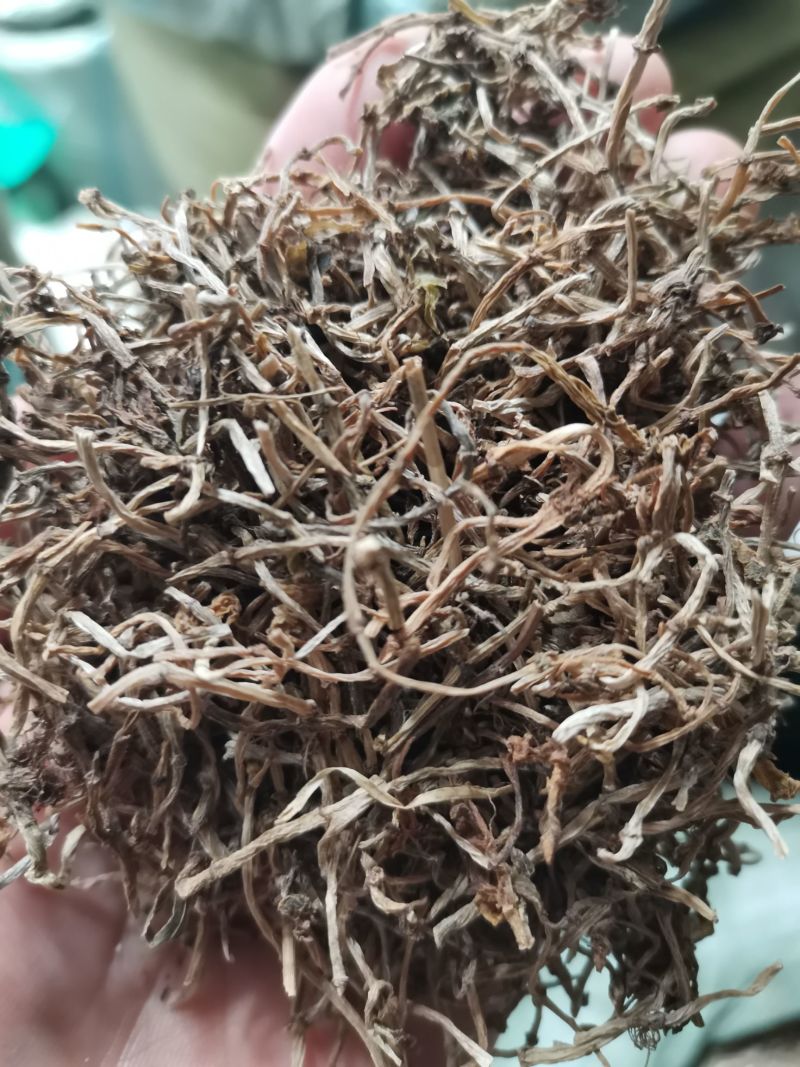 垂盆草统装货