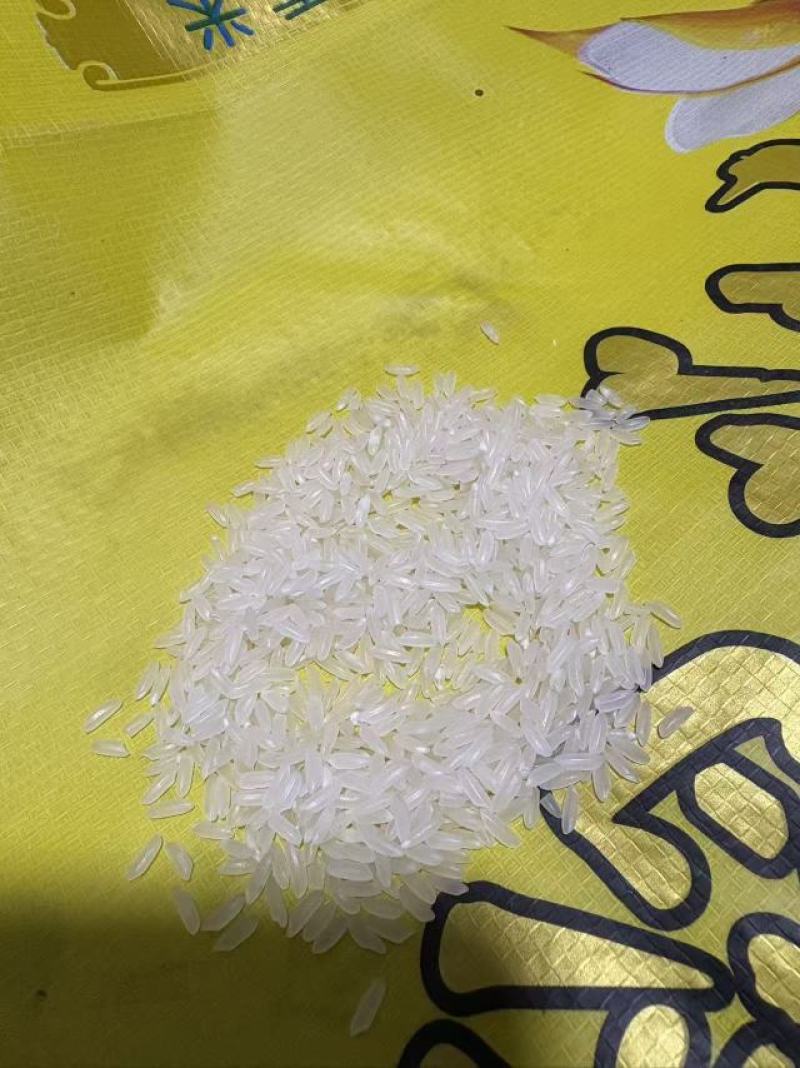 彩航牌发五长粒香厂家直发