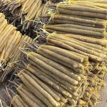 河北产地直发双棒紫药麻山药