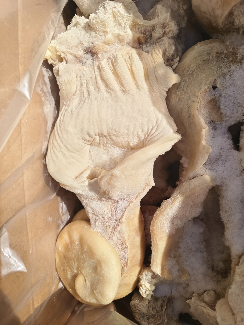 带勾牛小货