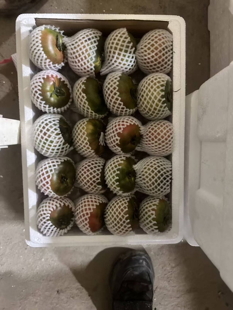 铁皮柿子大量有货产地直发对接各大商超