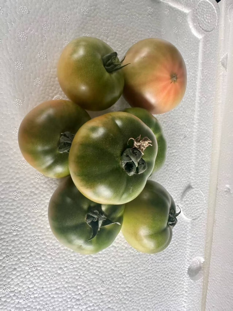 铁皮柿子大量有货产地直发对接各大商超