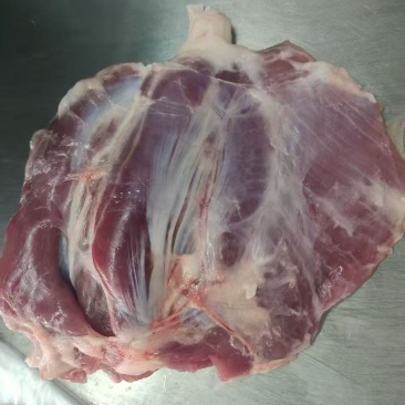 猪龟腱肉
