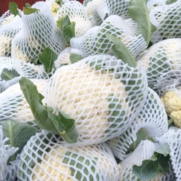 万亩花菜基地，大量有机花菜正在供应中，