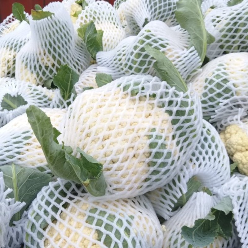 万亩花菜基地，大量有机花菜正在供应中，
