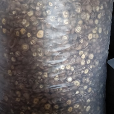 【推荐】香菇一手货源产地直发视频看货欢迎咨询