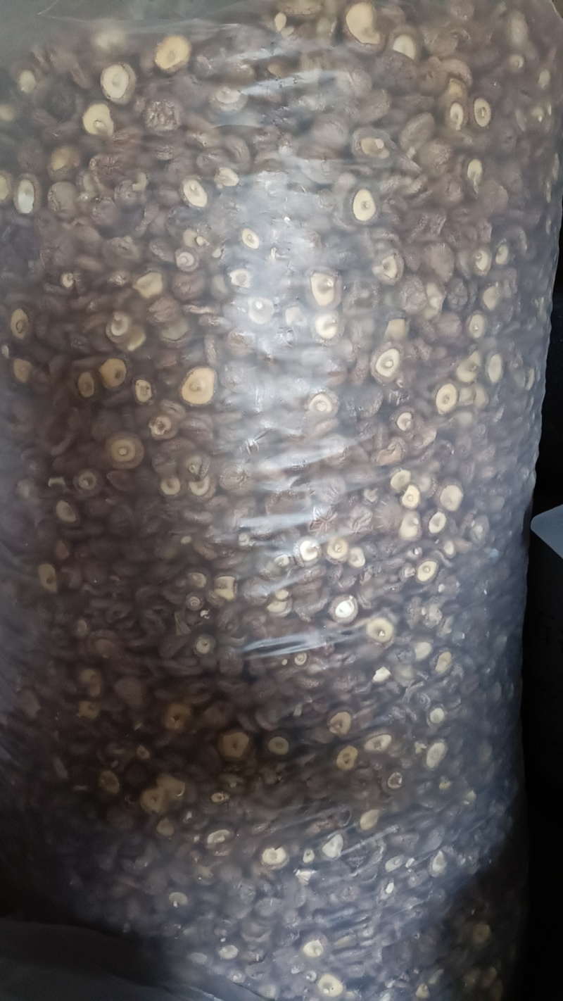 【推荐】香菇一手货源产地直发视频看货欢迎咨询