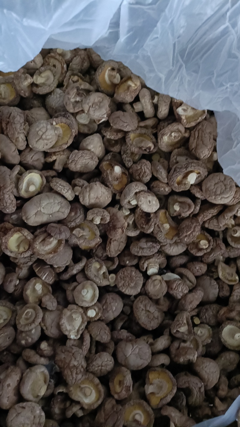 【推荐】香菇一手货源产地直发视频看货欢迎咨询