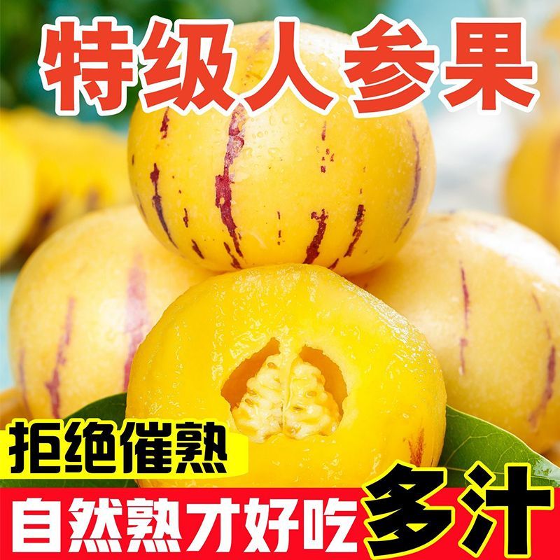 【树上熟】正宗云南石林人参果黄心黄果大果特大超甜水果整箱