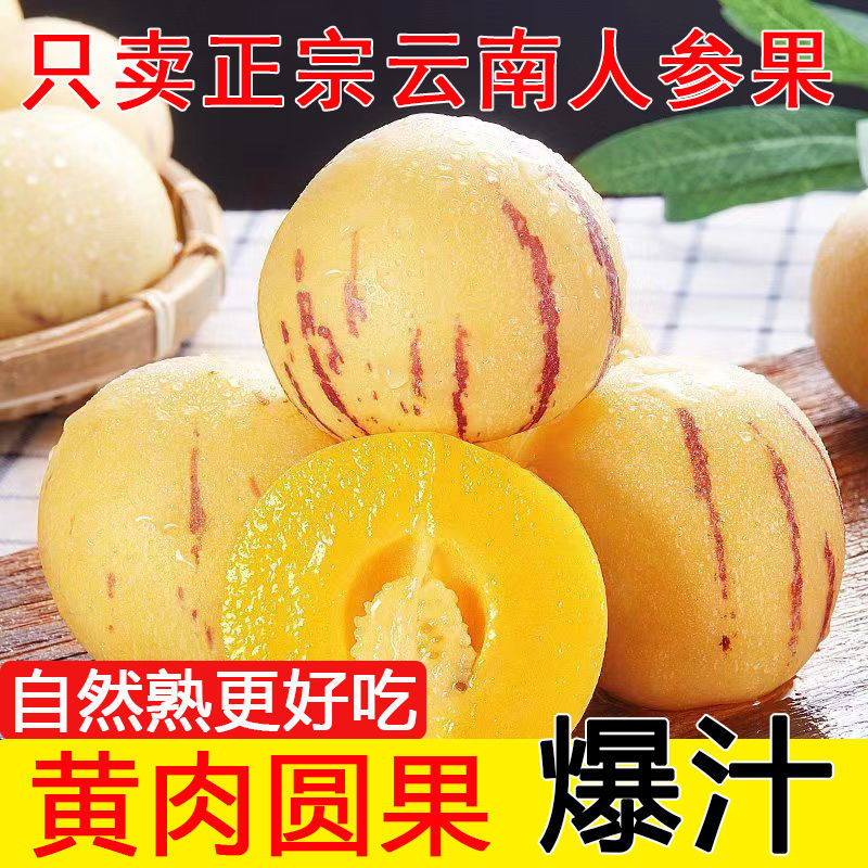 【树上熟】正宗云南石林人参果黄心黄果大果特大超甜水果整箱
