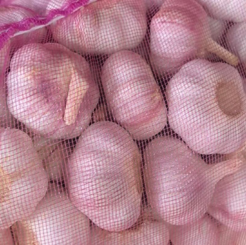 精品大蒜