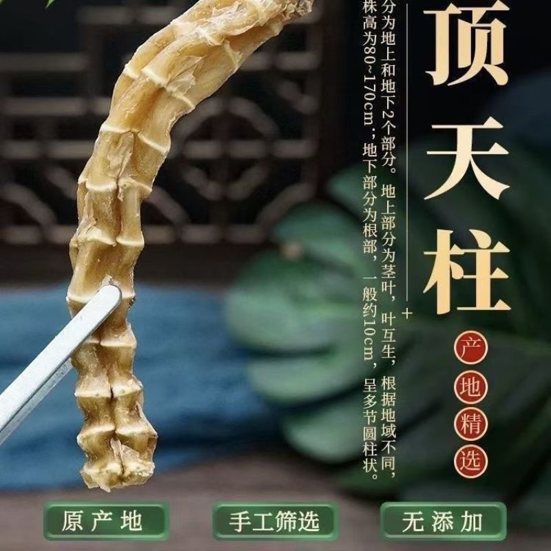 云南特级野生虫草参顶天柱西藏野生特级地参竹节参干货
