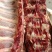 牛肋眼骨，多肉牛肋眼骨，牛排锅可以用，价格美丽证件齐全