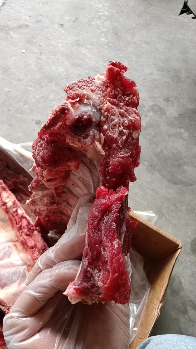 牛肋眼骨，多肉牛肋眼骨，牛排锅可以用，价格美丽证件齐全