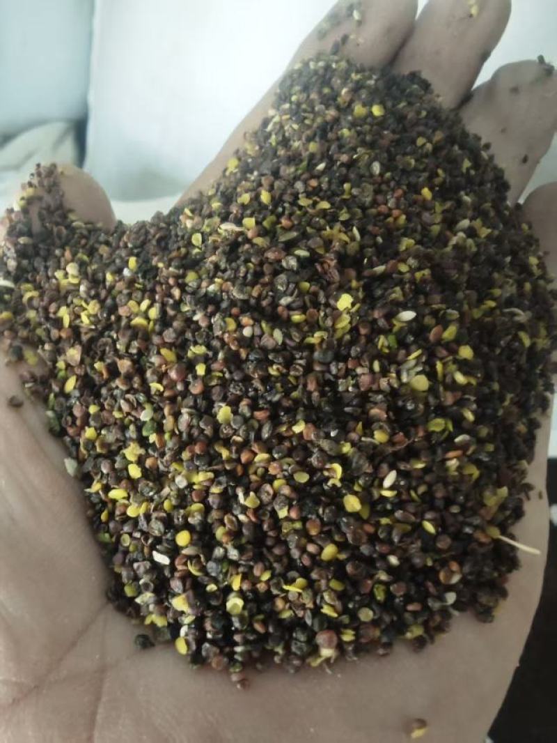 菜籽下角料