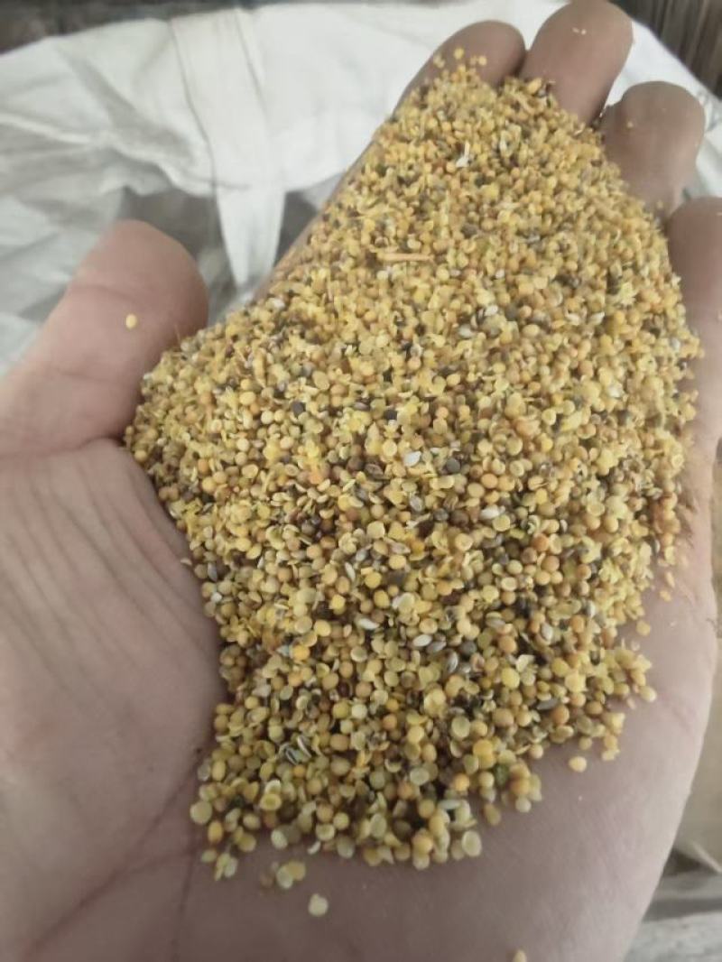 菜籽下角料