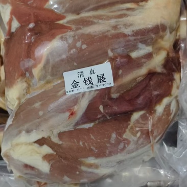 金钱腱